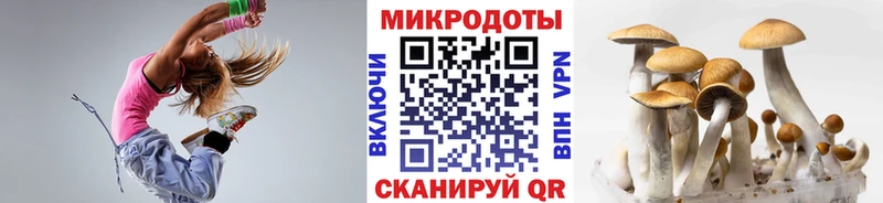 купить наркотики цена  Ртищево  Псилоцибиновые грибы MAGIC MUSHROOMS 